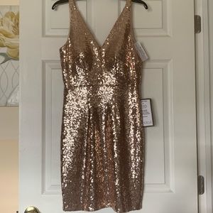 Rose Gold Sequin Mini Dress